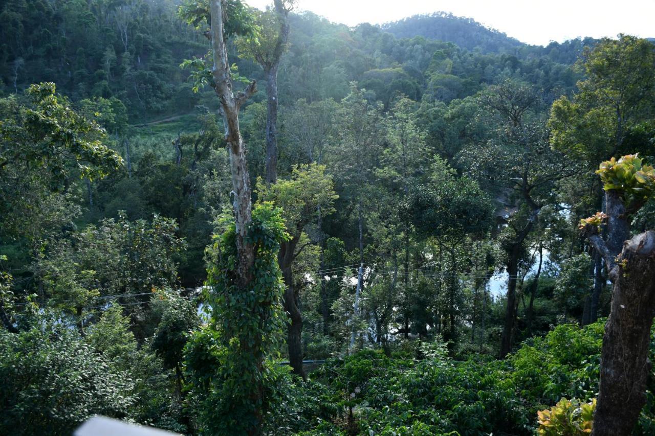 River View Guest House Madikeri Buitenkant foto