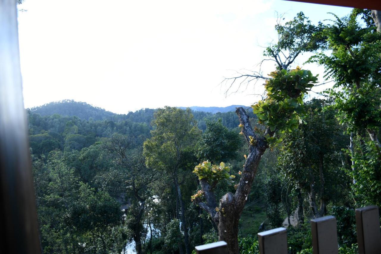 River View Guest House Madikeri Buitenkant foto